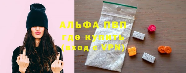 a pvp Бородино