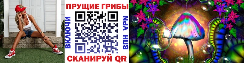 kraken ссылки  Топки  Псилоцибиновые грибы мицелий  продажа наркотиков 